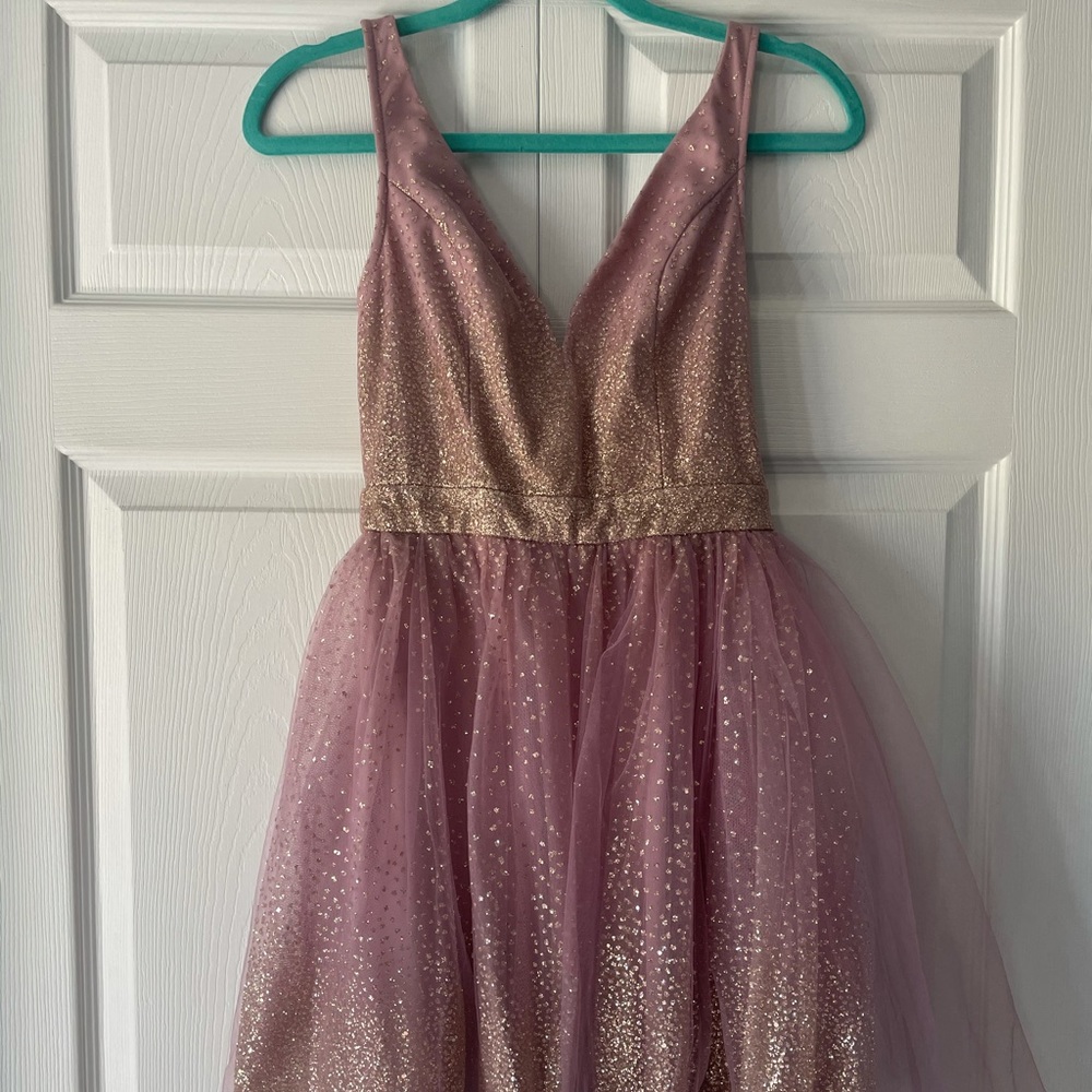 sparkly tulle dress NWOT